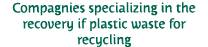 Compagnies specializing in the recovery if plastic waste for recycling