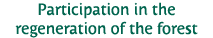 Participation in the regeneration of the forest